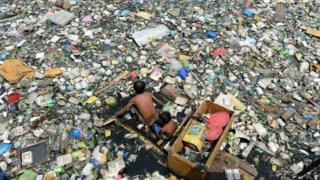 İslamabad çöplüğünde keşfedilen plastik yiyen mantar çöp krizine çare olabilir
